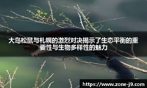 九游会j9首页